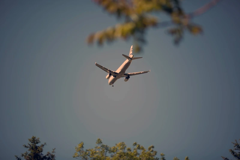 Câte țigări poți lua în avion